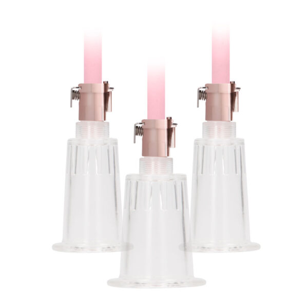 Pumped Clitoral and Nipple Pump Set - Image 2